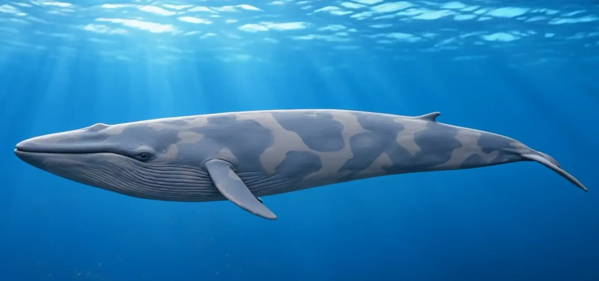 Una ballena azul de plastilina nada bajo la luz del océano